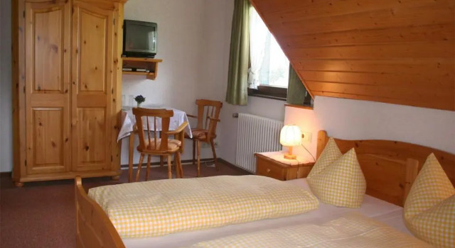 Двухместный номер Standard Gasthaus Schweizerhof