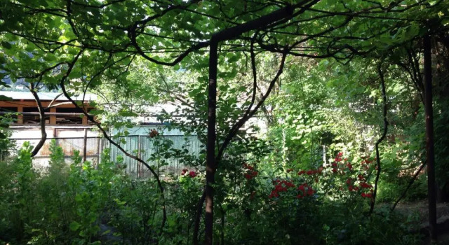 Номер Standard Guest House Besarioni