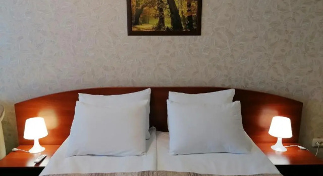 Standard- dobbelt værelse Apelsin Hotel