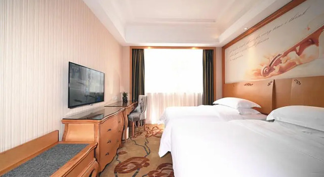 Двухместный номер Business Vienna Hotel Shenzhen Nanxin Road