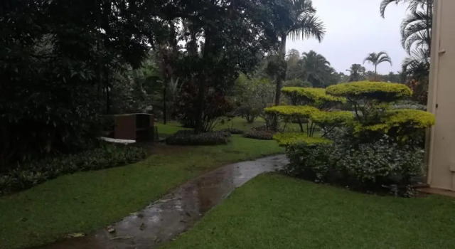 The Eden Palms