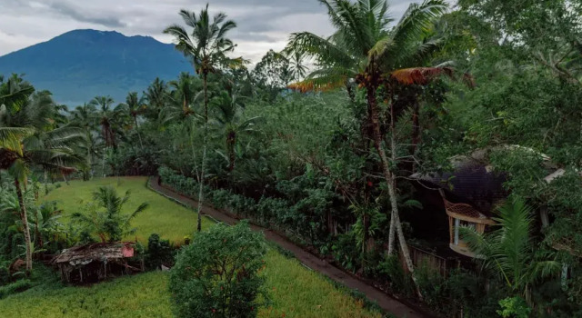 Номер Standard Hideout Eco Bamboo House Bali
