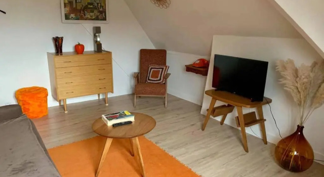 Апартаменты Appartement Vintage avec vue sur le château