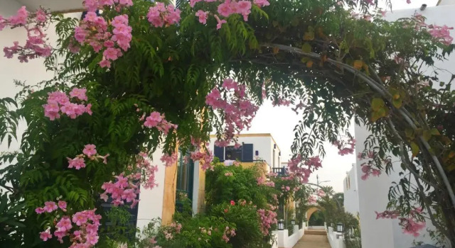 Вилла Les jardins de la lagune