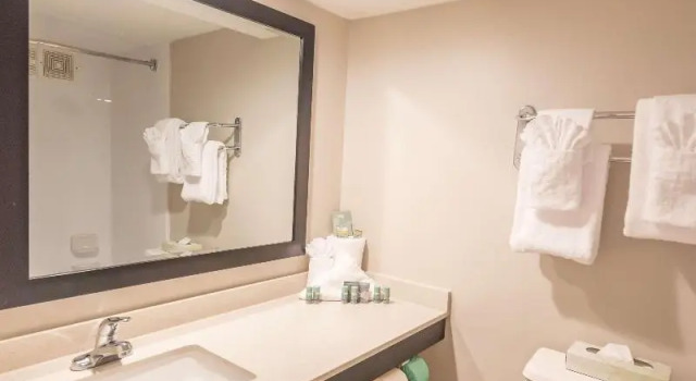 Номер Standard SureStay Plus Hotel by Best Western Lehigh Valley