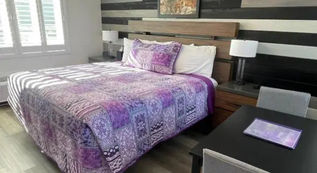 Номер Standard Purple Sage Motel