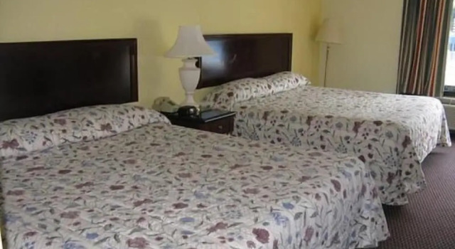 Четырёхместный номер Standard Walking Horse Lodge