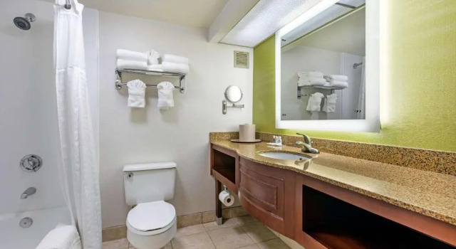 Двухместный номер Standard с видом на город Comfort Inn Anaheim Resort