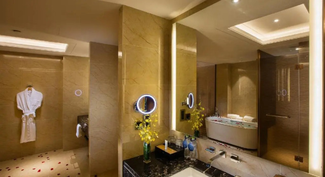 Двухместный номер Standard Hilton Wuhan Yangtze Riverside