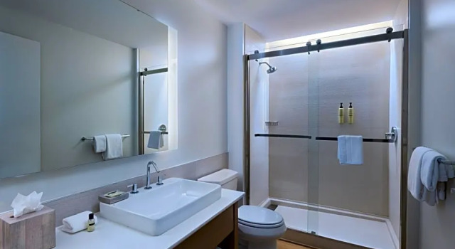 Двухместный люкс c 1 комнатой с видом на город Element by Marriott Dallas Las Colinas