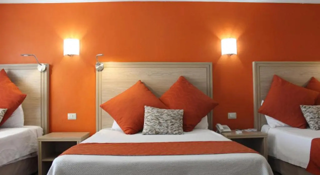 Номер Standard Hotel Flamingo Irapuato