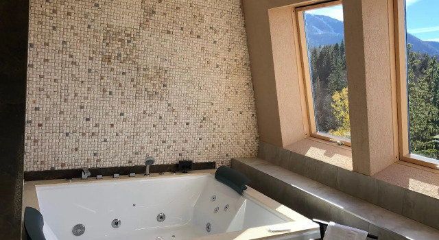 Номер Deluxe с видом на горы Elexus Apartments Poiana Brasov