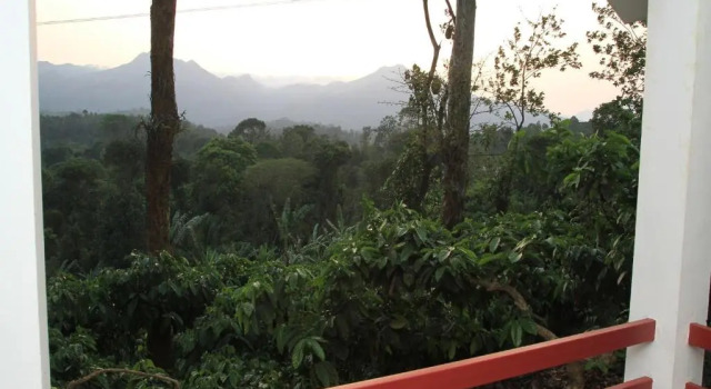 Вилла Superior с балконом и с красивым видом из окна Dhanagiri Homestay Wayanad