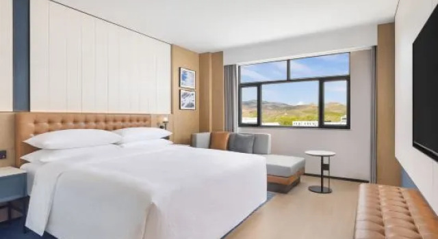 Люкс Four Points By Sheraton Altay City
