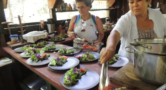 Yatama Rainforest Ecolodge, Book Hotel Las Horquetas Heredia