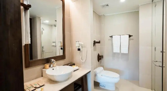 Двухместный номер Standard c 1 комнатой с балконом и с видом на море Palm Garden Beach Resort & Spa