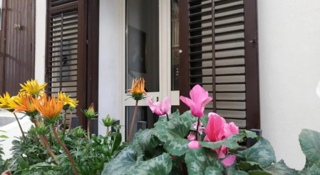 Номер Standard Opera Boutique Rooms