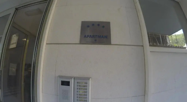 Anthurium Lux Apartment