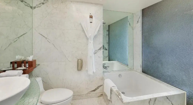 Двухместный номер Hyatt с видом на бассейн Hyatt Regency Delhi