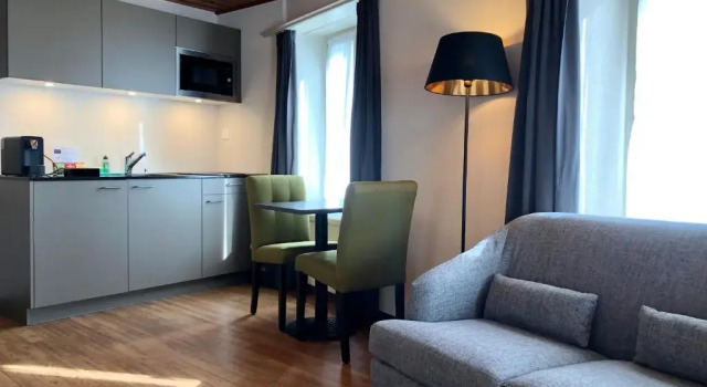 Двухместный номер Standard Marco Polo Business Apartments Sonne - Bremgarten