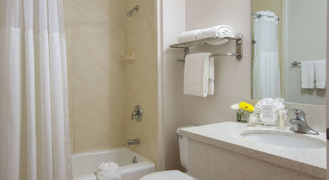 Четырёхместный номер Standard Safari Inn Burbank-Universal, a Coast Hotel