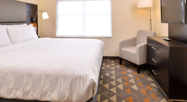 Номер Standard Holiday Inn and Suites Addison by IHG