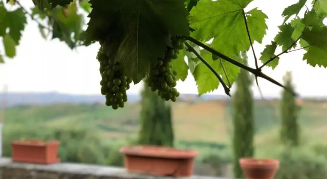 Апартаменты Agriturismo LOlmo