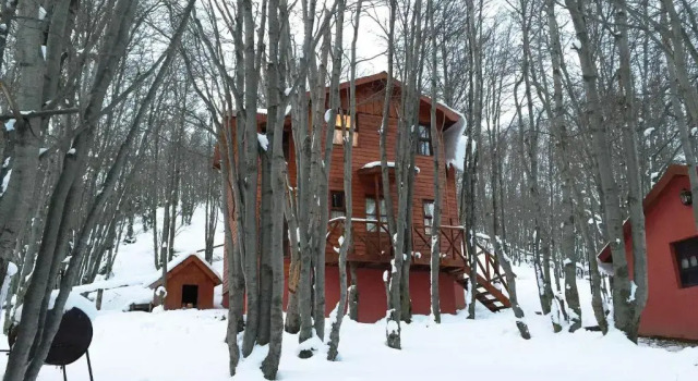 Бунгало Standard Cabañas Bosque Del Faldeo