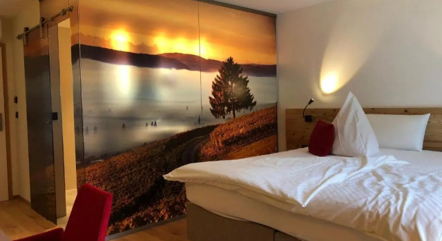 Двухместный номер Standard Landhotel Wilder Mann