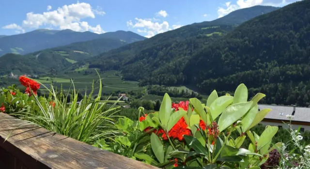 Апартаменты Apartments Moarhof with Brixen Card