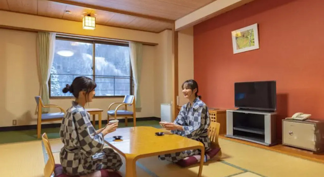 Номер Standard Kyukamura Norikura-Kogen