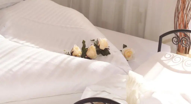 Номер Standard Hotel Garni ELISABETH