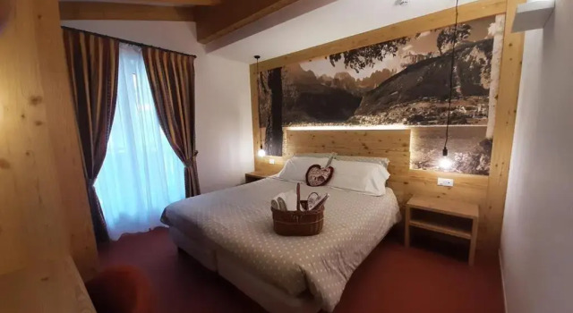 Двухместный номер Comfort с видом на озеро Hotel des Alpes
