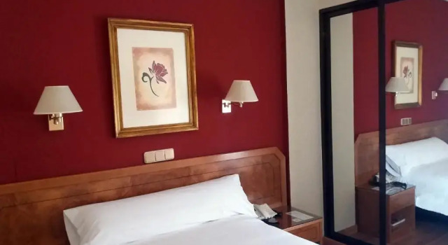 Одноместный номер Standard Hotel Don Carmelo