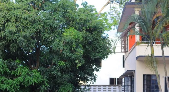 Mango Village - Hostel