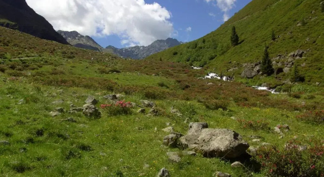 Krapfhof, Prenota Hotel Hotel a Tirolo con parcheggio, Parcheggio
