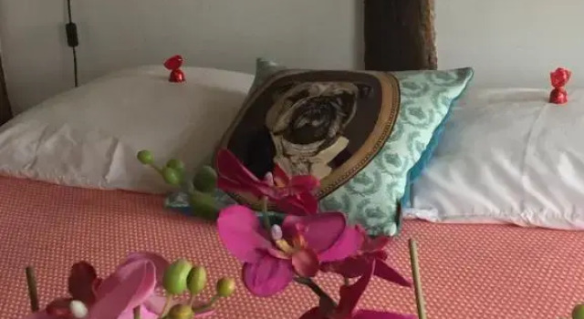 Номер Standard PuurTeuven B&B tussen Kunst en Natuur