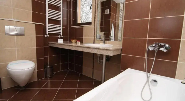 Люкс SPA Hotel Medicus