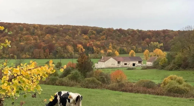 Gîte 6 pers de la Vallée de l'Aujon, Reservar Hotel Arc-en-Barrois 