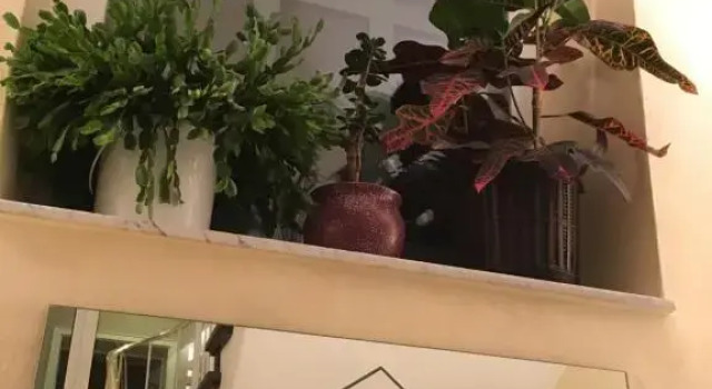 Трёхместный номер Standard Hotel Hauser an der Universität