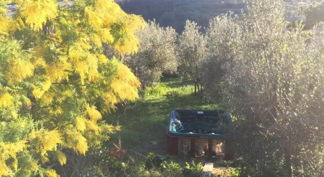 Вилла с видом на сад Tuscan Sun Villa
