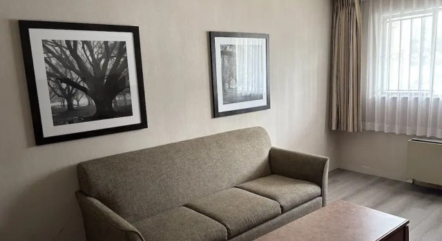Люкс Classic art infiniti hotel