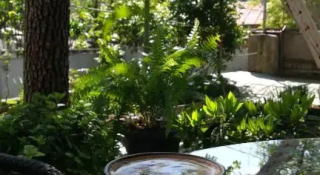 Tbilisi guesthouse Nini