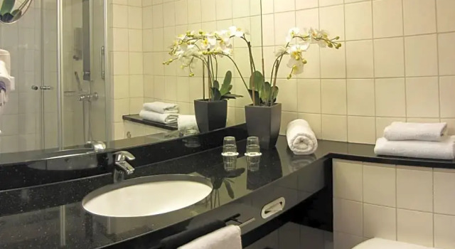 Номер Standard PLAZA INN Stuttgart Airport Messe