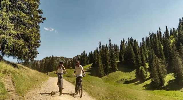 Апартаменты Apartment in Chatel Near Lac de Vonnes