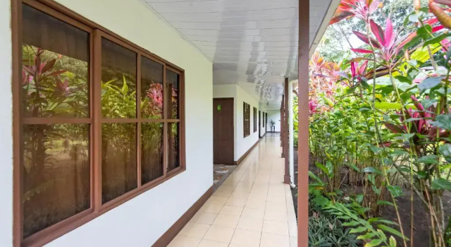 Трёхместный номер Standard с видом на сад Hotel Tortuguero Beachfront