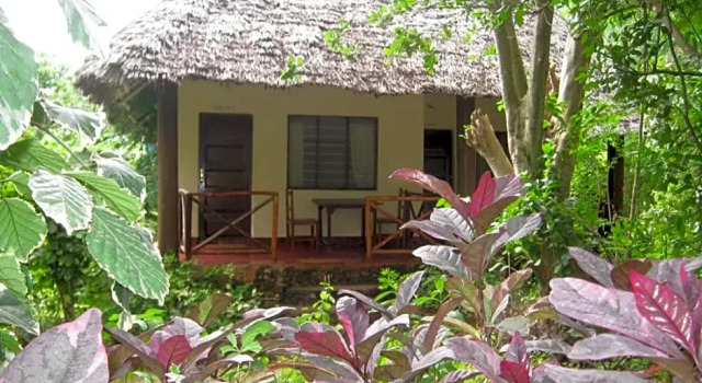 Номер Economy Baraka Aquarium Bungalows