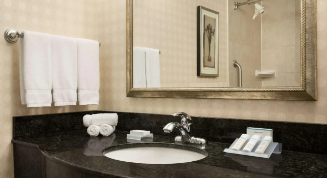 Четырёхместный номер Standard Hilton Garden Inn Toronto/Vaughan