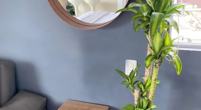 Апартаменты Deluxe Mio Lofts