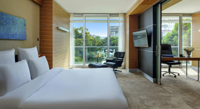 Люкс Business с видом на сад Swissotel Buyuk Efes Izmir
